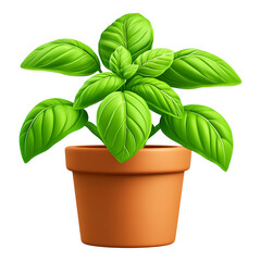 Green Basil Plant in Pot - Ideal for Gardening Enthusiasts and Cooking Blogs