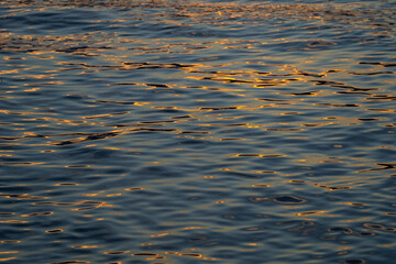 Gentle ripples spread across the water as the sun sets, casting warm golden shades that dance on the lake's surface in the evening light