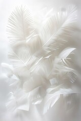 White paper palm leaves arranged artfully on a white background.