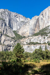 Rocky mountains with pine trees