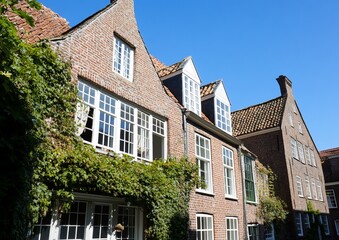 Fototapeta premium European brick houses with ivy and blue sky