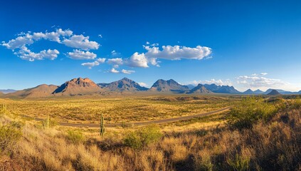 Obraz premium Panoramic view of a vast desert landscape under a bright blue sky, featuring mountains in the background and a winding road in the foreground.