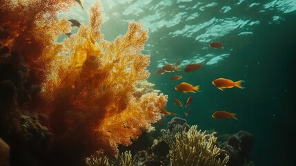 Naklejka premium Sunlit Coral Reef Fish Schooling Ocean Background