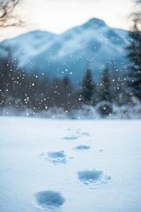 Footprints in fresh snow leading towards a mountain range under a light snowfall.