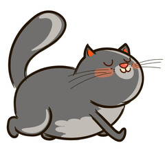 gray cat with no background