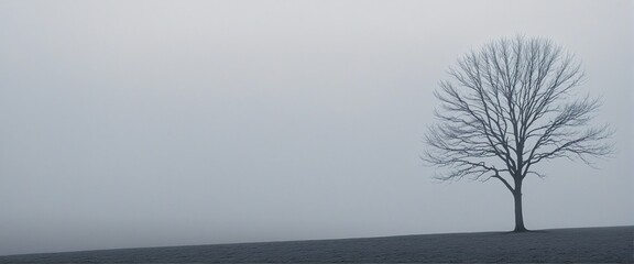 Serene Solitude: A Tranquil Horizon of Grey and Blue
