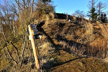 道志山塊の石割山　石割山北東尾根分岐
