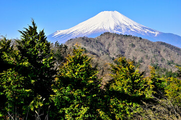道志山塊の奥ノ岳　送電鉄塔からの富士山の展望
