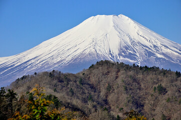 道志山塊の奥ノ岳　送電鉄塔からの富士山の展望
