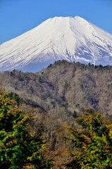 道志山塊の奥ノ岳　送電鉄塔からの富士山の展望

