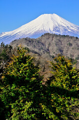 道志山塊の奥ノ岳　送電鉄塔からの富士山の展望
