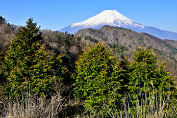 道志山塊の奥ノ岳にある送電鉄塔の展望台から雪景色の富士山
