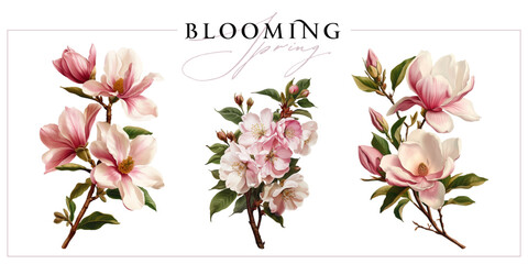Blooming magnolia and sakura branches isolated on a white background. Vintage painting style illustration. © Anna