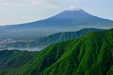 Fototapeta premium 御坂山地の不逢山より 新緑の山地に春の富士山 