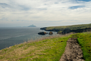 Worn Trail Above Coastline of Santa Cruz Island