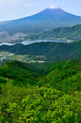 Obraz premium 春の御坂山地 新緑の中藤山より富士山と河口湖を望む 