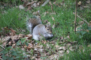 Elveden, Norfolk, United Kingdom, April 17, 2024. Views from Elveden