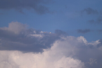A tranquil scene of two birds soaring under moody clouds, evoking peace and vastness.

