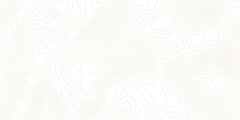 Topography wave line grid map. white wave line geography landscape Topo contour map on white background. White wave paper curved reliefs abstract background.