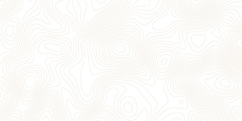 Topography wave line grid map. white wave line geography landscape Topo contour map on white background. White wave paper curved reliefs abstract background.