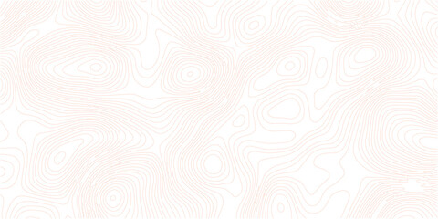 Topography wave line grid map. white wave line geography landscape Topo contour map on white background. White wave paper curved reliefs abstract background.