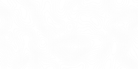 abstract topographic wave line black, white line map texture. geometric discovery mounted location counter grid map background.White wave paper curved reliefs abstract background. The topographic map.