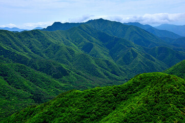 Fototapeta premium 御坂山地の釈迦ヶ岳山頂より 新緑の十二ヶ岳、雪頭ヶ岳、鬼ヶ岳、節刀ヶ岳を望む 
