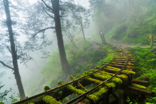 View of the Jancing Historic Trail in Yilan Taipingshan National Forest Recreation Area, Taiwan.