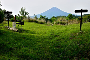 御坂山地　草原の大石峠より初夏の頃の富士山を望む
