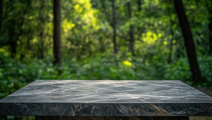 Fototapeta premium Serene Stone Table in a Lush Green Forest