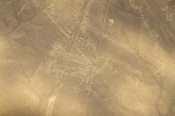 Nazca lines in Peru - The Dog (el perro)