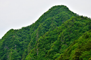 御坂山地の四ヶ岳山頂より望む緑の十二ヶ岳
