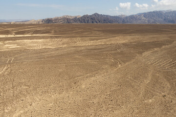 Nazca lines in Peru - The Lizard (la lagartija)