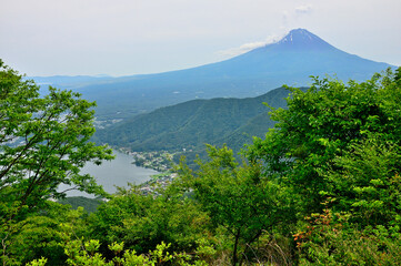 Fototapeta premium 御坂山地の毛無山山頂より望む富士山 