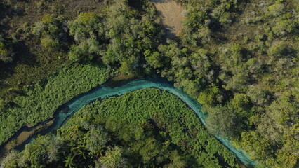 Rio Sucuri  em Bonito - Mato grosso do Sul