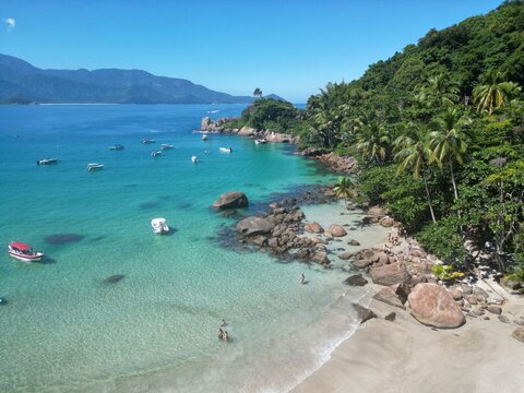 Coqueiro da praia do aventureiro - ilha grande - Rio de Janeiro