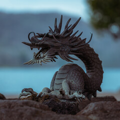 dragon on the stone