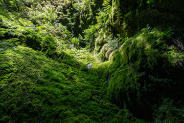 Obraz premium Gruta do Natal, Terceira island, Azores