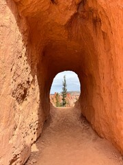Tree through clay door tunnel