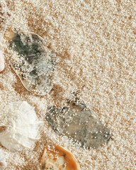 Minimal aesthetic seashells pattern on beige sand, natural sea oceanic and summer textured background, summer relaxation, top view photo with delicate pastel colored shell, rest beach wallpaper