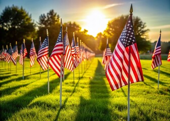 Patriotic American Flags Line Grassy Field Veterans Memorial Day Remembrance
