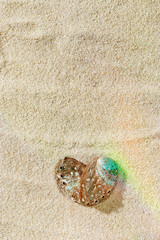 Aesthetic minimal love summer sea holiday concept, seashells as heart on fine sand with sunlight...