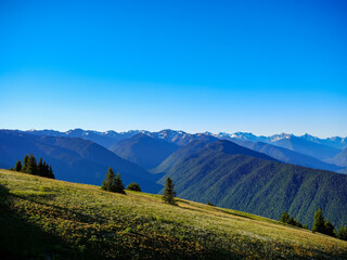 Hurricane Ridge in Olympic National Park and the surrounding mountains in morning light highlighting all the ridges and valleys