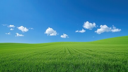 Fototapeta premium Rolling Green Field Under a Blue Sky with Clouds