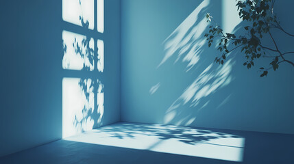 3d empty room shadow blue wall