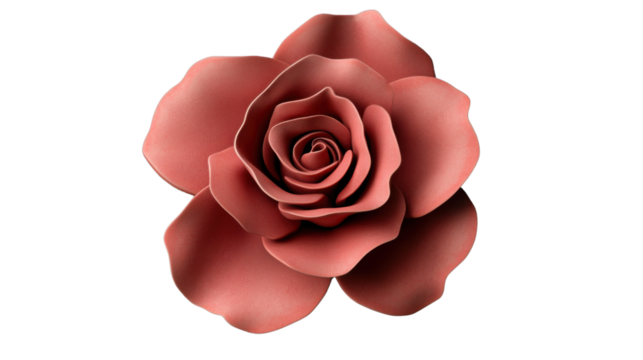 Blooming pink rose isolated on transparent background