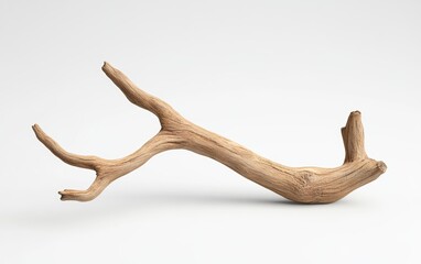 Obraz premium Natural Wooden Branch Piece on Clean Background