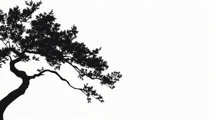 Silhouetted tree branch, peaceful garden, white background, zen design