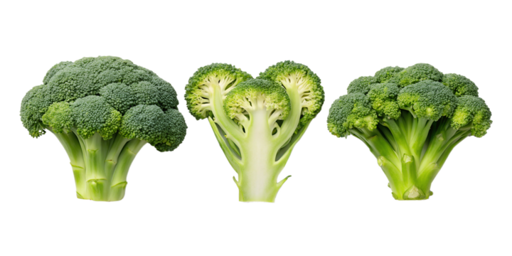 Three Different Styles of Broccoli Florets Arranged in Creative Ways, PNG Transparent
