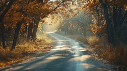 Obraz premium A serene drive down a sun-drenched path during a colorful autumnal afternoon